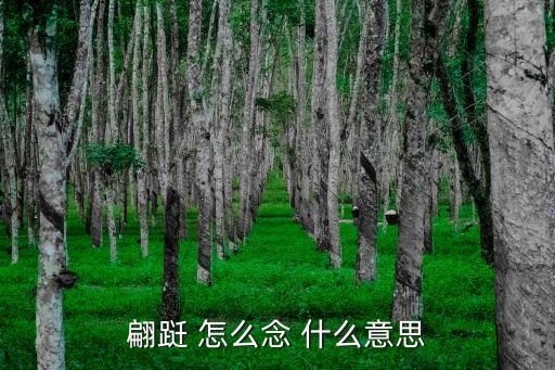 翩跹 怎么念 什么意思