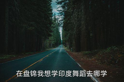 在盘锦我想学印度舞蹈去哪学