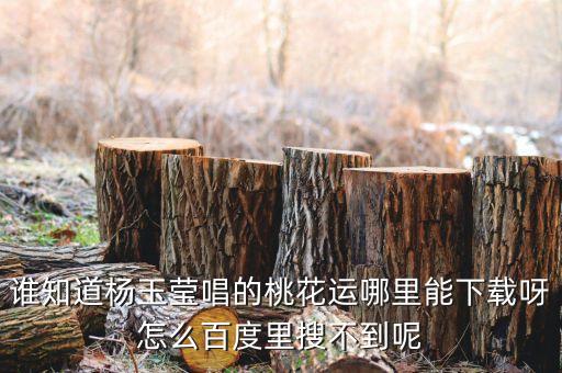 谁知道杨玉莹唱的桃花运哪里能下载呀怎么百度里搜不到呢