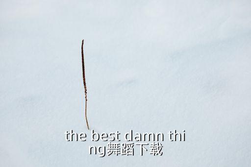 少年中国说舞蹈教学视频，小学组一等奖少年中国说舞蹈插入的音乐是什么
