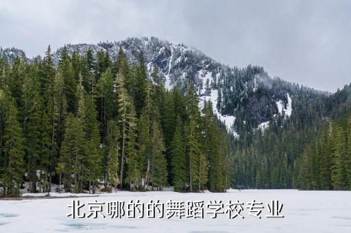 北京哪的的舞蹈学校专业