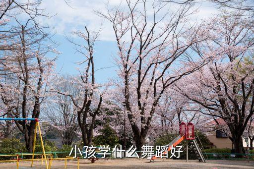 哪个舞蹈宝宝学了好，小孩练体行学什么舞蹈好