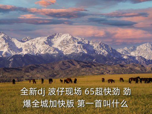全新dj 波仔现场 65超快劲 劲爆全城加快版 第一首叫什么