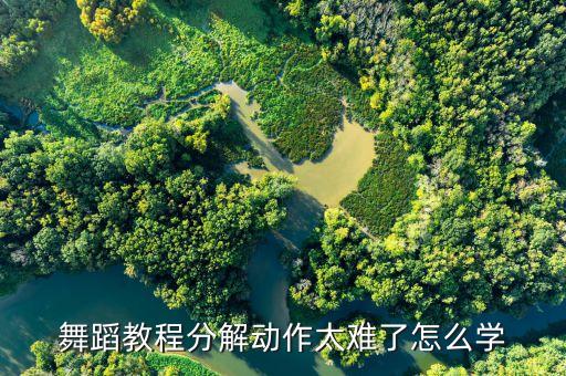 舞蹈教程分解动作太难了怎么学