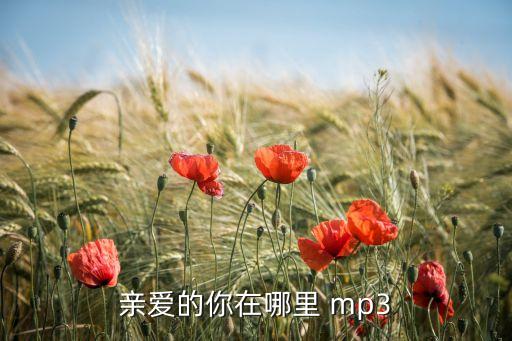 武阿哥亲爱的你在哪里，亲爱的你在哪里在哪里在哪儿别轻言放弃这是哪首歌的歌词拜托