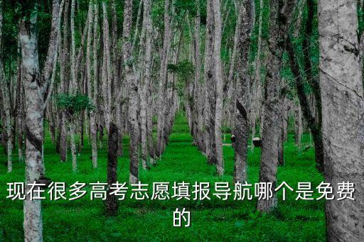 现在很多高考志愿填报导航哪个是免费的