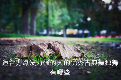 适合力爆发力强的人的优秀古典舞独舞有哪些