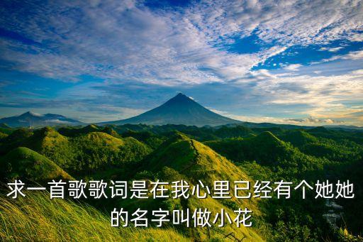 广场舞小花音乐是什么歌，我听过一首歌里面有小花两个字的但我不知道是什么歌名谁帮