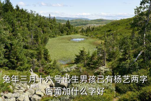 杨艺后面加个什么字组成名字，艺字后面加什么比较好听的女孩名字