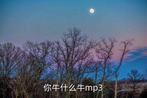 你牛什么牛mp3