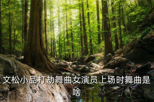 文松小品打劫舞曲女演员上场时舞曲是啥