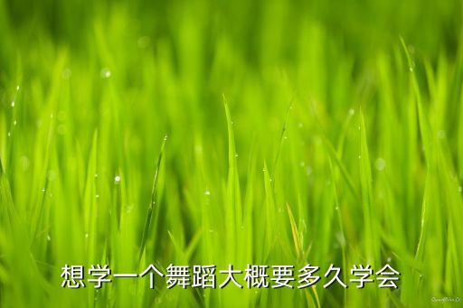 想学一个舞蹈大概要多久学会