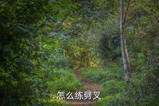 怎么练劈叉