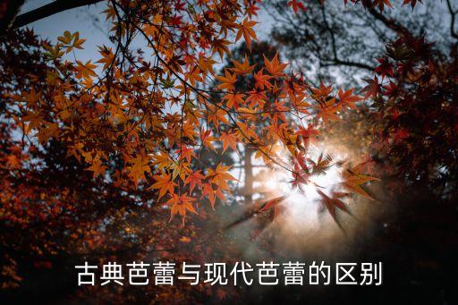 什么是当代芭蕾，古典芭蕾和现代芭蕾的区别