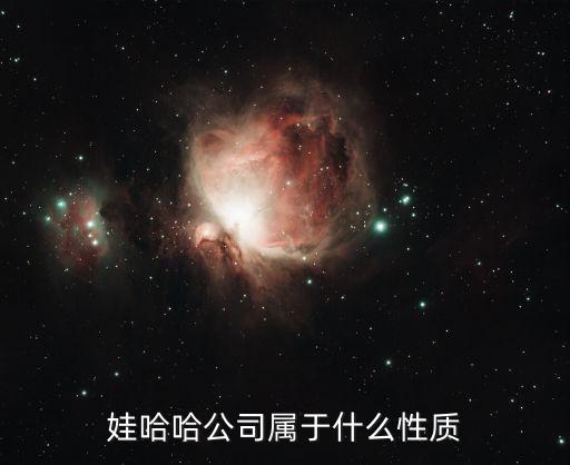 娃哈哈公司属于什么性质