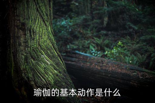 瑜伽动作 入门 初级名称，瑜伽的基本动作是什么