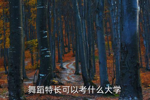 舞蹈艺校生能考哪些大学呢，舞蹈特长生可以报考哪些学校