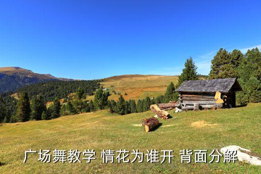 跳广场舞背面教程，广场舞教学 情花为谁开 背面分解