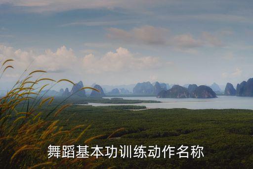 舞蹈基本功训练动作名称