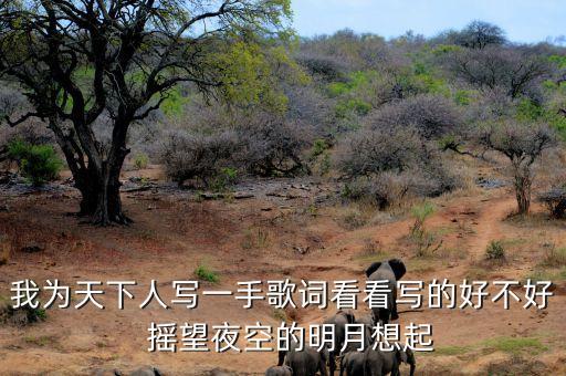 我为天下人写一手歌词看看写的好不好  摇望夜空的明月想起
