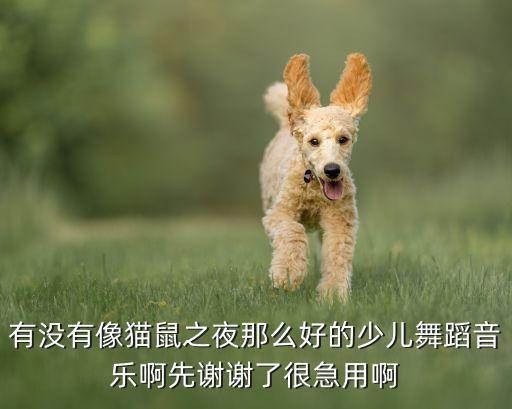 有没有像猫鼠之夜那么好的少儿舞蹈音乐啊先谢谢了很急用啊