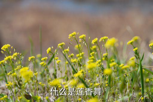 什么是莲香舞