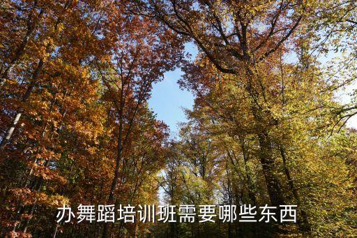 开舞蹈培训班需要什么，成立一个舞蹈学习班都需要什么如题 谢谢了