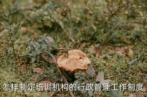 培训机构规章制度范本，培训机构管理制度