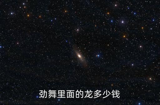 劲舞里面的龙多少钱