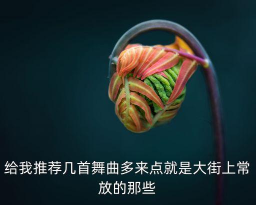 给我推荐几首舞曲多来点就是大街上常放的那些