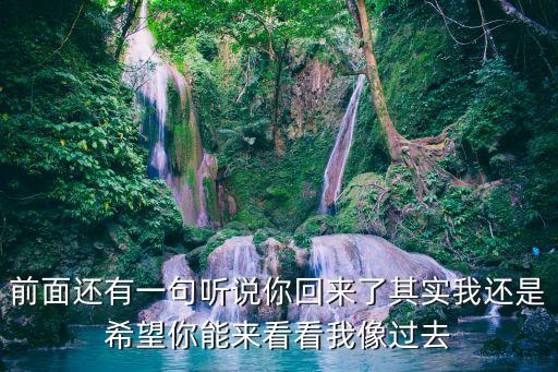 前面还有一句听说你回来了其实我还是希望你能来看看我像过去