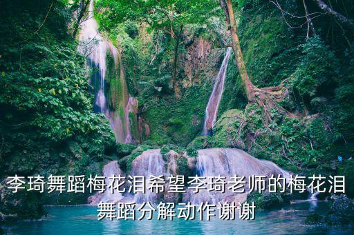 李琦舞蹈梅花泪希望李琦老师的梅花泪舞蹈分解动作谢谢