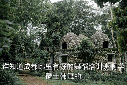 成都哪里有教爵士舞的，成都哪儿有爵士舞培训