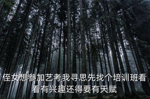 侄女想参加艺考我寻思先找个培训班看看有兴趣还得要有天赋
