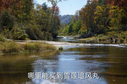 惠州中医院哪里有卖雪莲，广东惠州哪里有卖雪莲果