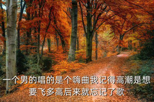 一个男的唱的是个嗨曲我记得高潮是想要飞多高后来就忘记了歌
