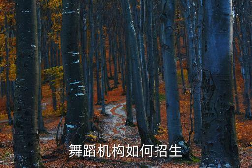 舞蹈培训机构如何招生简章，招收舞蹈生的公告该怎样写