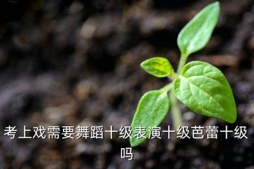 考上戏需要舞蹈十级表演十级芭蕾十级吗