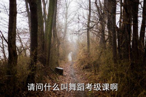 舞蹈考级课时怎么回事，请问什么叫舞蹈考级课啊