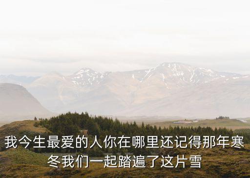 我今生最爱的人你在哪里还记得那年寒冬我们一起踏遍了这片雪