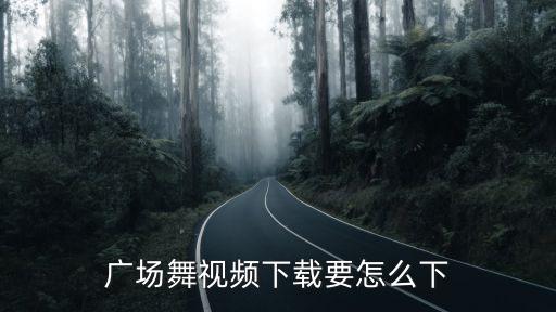 广场舞带视频的歌怎么下，怎样把广场舞视频里的音乐下载下来