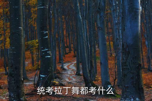 拉丁舞第一级考什么，拉丁舞考级