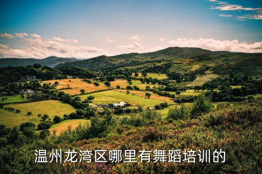 温州龙湾区哪里有舞蹈培训的