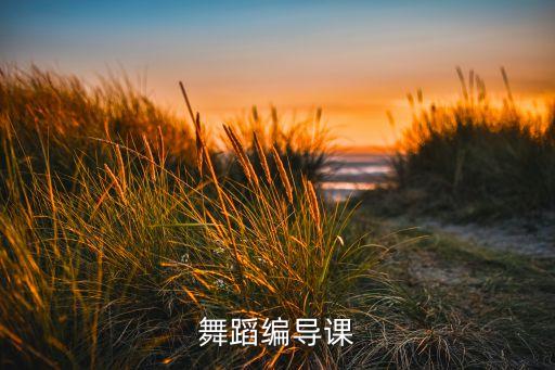 舞蹈编导课