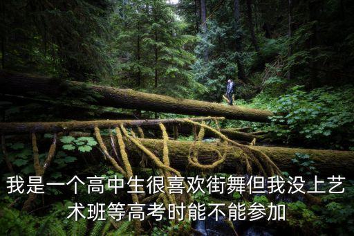 街舞可以参加艺考吗2020，我是一个高中生很喜欢街舞但我没上艺术班等高考时能不能参加