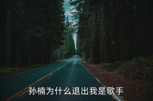 孙楠为什么退出我是歌手
