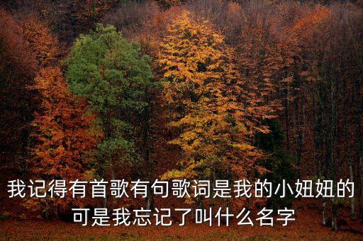 我记得有首歌有句歌词是我的小妞妞的 可是我忘记了叫什么名字