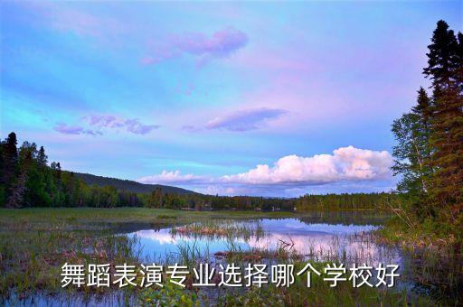 舞蹈表演专业选择哪个学校好