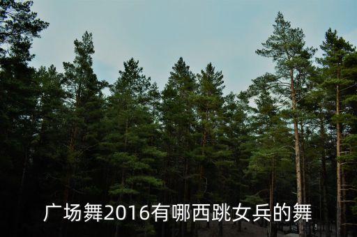 广场舞2016有哪西跳女兵的舞
