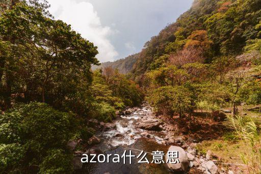 azora什么意思